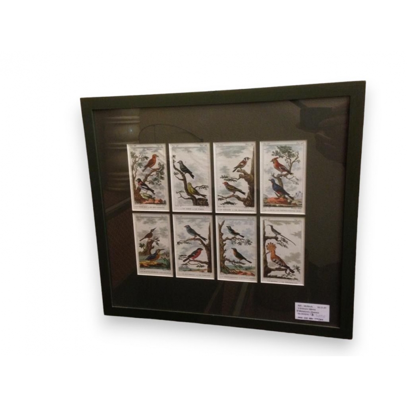 Engraving ‘8 bird miniatures’ by DE, on Moinat SA – Antiques and decorative items – Engravings, lithographs