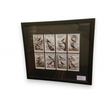 Gravure "8 miniatures d'oiseaux" de DE SEVE