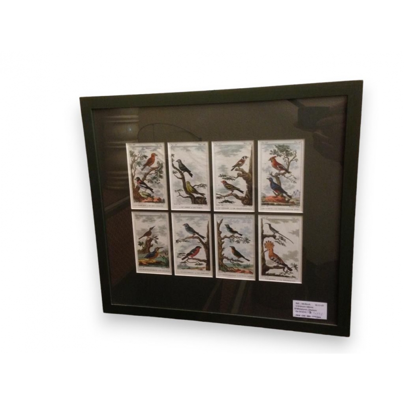 Gravure "8 miniatures d'oiseaux" de DE SEVE