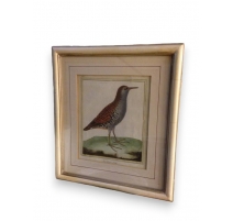 Engraving "The Rasle d'eau" signed SWIFT