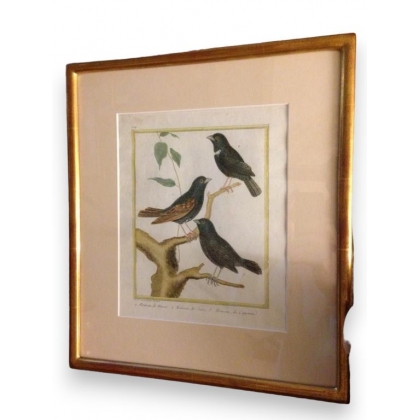 Engraving entitled "Sparrows", signed MARTINET, on Moinat SA – Antiques and decorative items – Engravings, lithographs