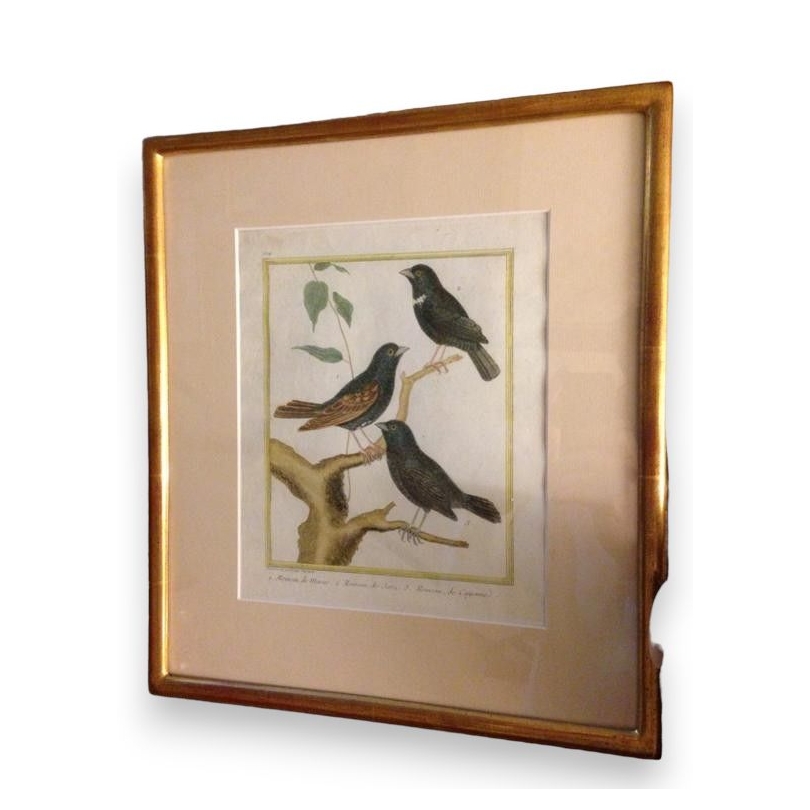 Engraving entitled "Sparrows", signed MARTINET, on Moinat SA – Antiques and decorative items – Engravings, lithographs