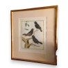 Engraving entitled "Sparrows", signed MARTINET, on Moinat SA – Antiques and decorative items – Engravings, lithographs