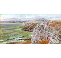painting by BACON HALE