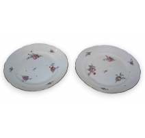 Paire d'assiettes en porcelaine