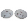 Paire d'assiettes en porcelaine
