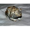 Petite grenouille en bronze