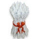 Botte d'Asperges en porcelaine
