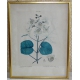 Tableau "Italie-Frascati", signé J. ODIER