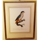 Poisson en porcelaine bleue de MANGANI,