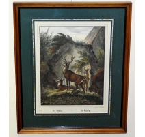 Lithographie "Les Cerfs" de SCHOLZ