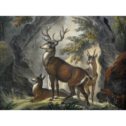 Lithografie „Les Cerfs“ von SCHOLZ bei Moinat SA – Antiquitäten und Dekoration – Stiche, Lithografien
