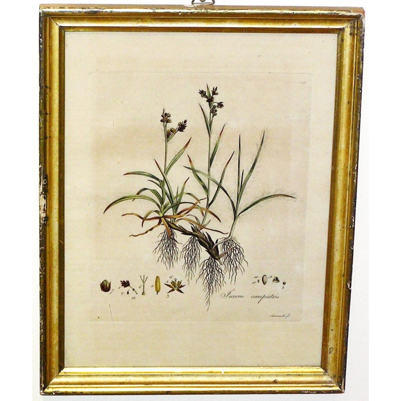 Piolet, en fer, signé J.V. Anthamathen,