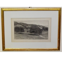 Encre de Chine "Paysage Vaudois" signée E. RIVIER