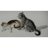 Gravure "Chats" de MIND  sur Moinat SA  - Antiquités décoration -  Gravures, Lithos