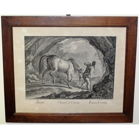 Engraving ‘Horse of Croatia’ by RIDINGER at Moinat SA – Antiques and decorative items – Engravings, lithographs