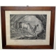 Gravure Cheval de Croatie par RIDINGER