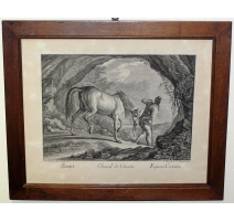 Gravure Cheval de Croatie par RIDINGER