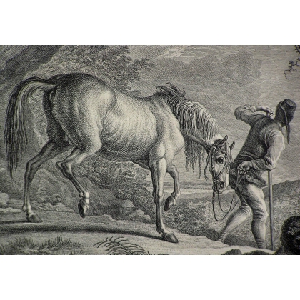 Engraving ‘Horse of Croatia’ by RIDINGER at Moinat SA – Antiques and decorative items – Engravings, lithographs