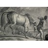 Engraving ‘Horse of Croatia’ by RIDINGER at Moinat SA – Antiques and decorative items – Engravings, lithographs
