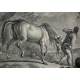 Gravure "Cheval de Croatie" par RIDINGER