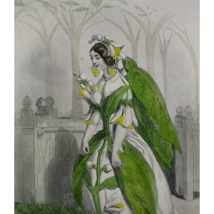Radierung „Orangenblüte“ von GRANDVILLE auf Moinat SA – Antiquitäten und Dekoration – Radierungen, Lithografien