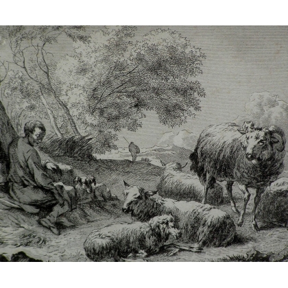 Engraving ‘Sheep’ by BERGHEM, on Moinat SA – Antiques and decorative items – Engravings, lithographs