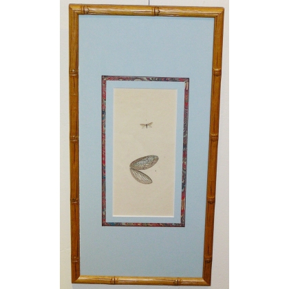 "Butterfly" engraving by Moinat SA – Antiques and decorative items – Engravings, lithographs