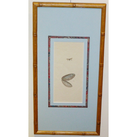 "Butterfly" engraving by Moinat SA – Antiques and decorative items – Engravings, lithographs