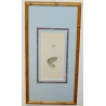 Gravure "Papillon"