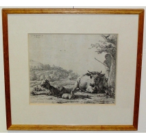 Gravure Vaches signée DUJARDIN