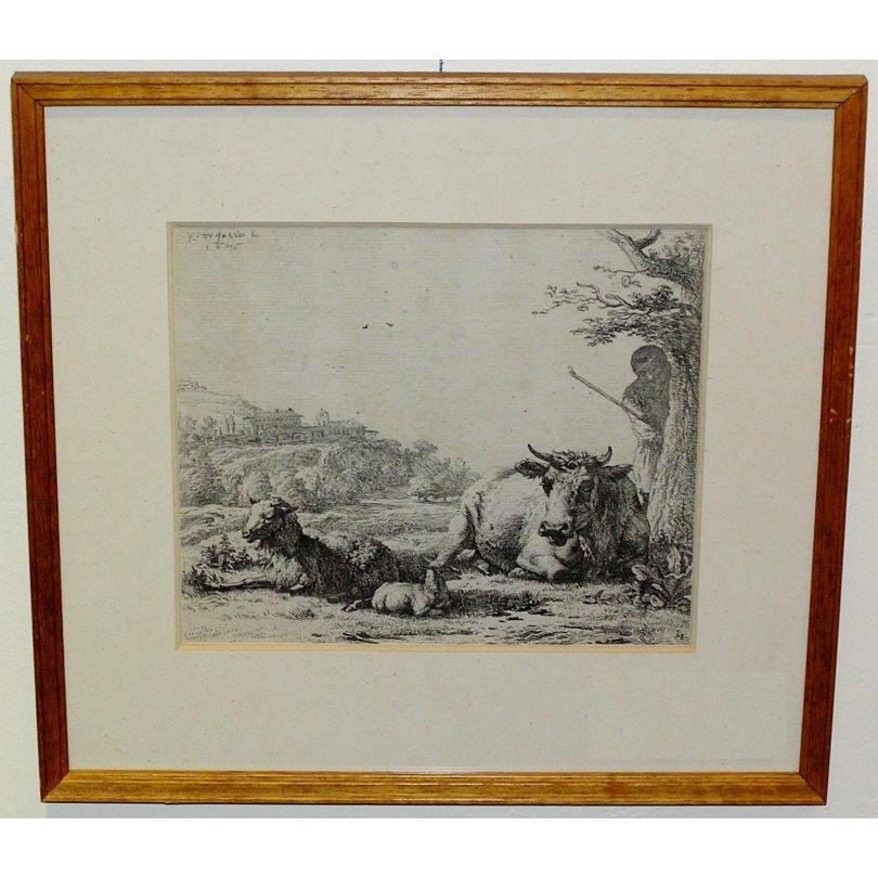 Gravure Vaches signée DUJARDIN