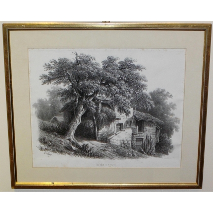 Gravure "Noyer à Mornex" d'après DIDAY,  sur Moinat SA  - Antiquités décoration -  Gravures, Lithos