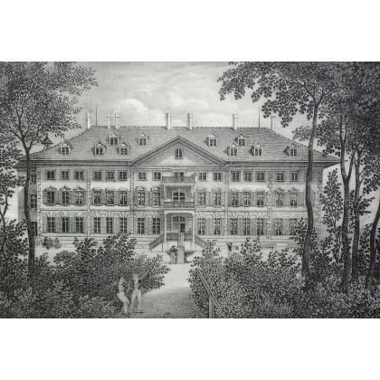 Gravure "Vue du grand institut prise du  sur Moinat SA  - Antiquités décoration -  Gravures, Lithos