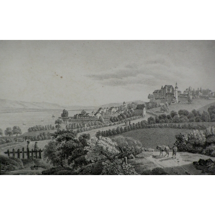 Gravure "Vue de Nyon prise sur la route  sur Moinat SA  - Antiquités décoration -  Gravures, Lithos