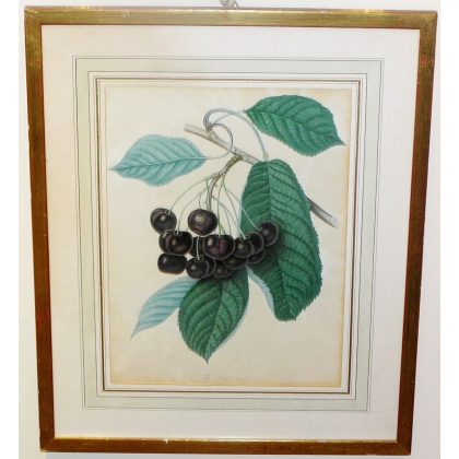 Engraving entitled "The Black Eagle" by Moinat SA – Antiques and decorative items – Engravings, lithographs