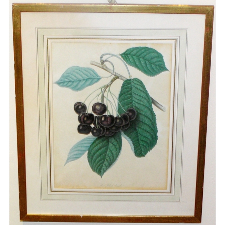 Engraving entitled "The Black Eagle" by Moinat SA – Antiques and decorative items – Engravings, lithographs