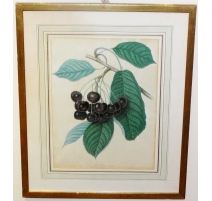 Lampe florentine en laiton