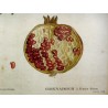 Engraving ‘Sweet-fruited pomegranate’ by Moinat SA – Antiques and decorative items – Engravings, lithographs