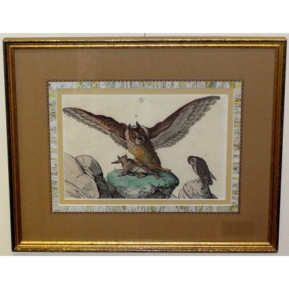 Engraving ‘Owl Catching a Rabbit’ by Moinat SA – Antiques and decorative items – Engravings, lithographs