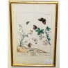 Gravure "Papillons PL.XXXII" de HARRIS  sur Moinat SA  - Antiquités décoration -  Gravures, Lithos