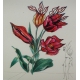 Lithographie "Fleurs surréaliste" de DALI