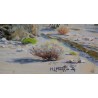 Tableau \"Smoke Tree Salton Sea\"