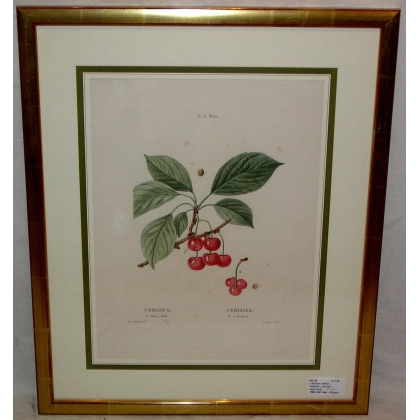 Engraving "Cherry Tree" by REDOUTÉ, in a gold frame, from Moinat SA – Antiques and home décor – Engravings, lithographs