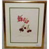 Engraving "Cherry Tree" by REDOUTÉ, in a gold frame, from Moinat SA – Antiques and home décor – Engravings, lithographs