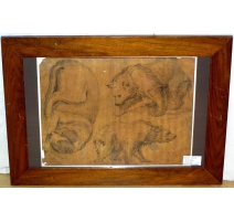 Dessin "Ours et chien"