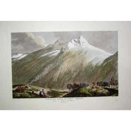 Stich „Ansicht eines Teils des Mont sur Moinat SA“ – Antiquitäten und Dekoration – Stiche, Lithografien