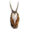 "Deer Massacre" hunting trophy at Moinat SA – Antiques and decorative items