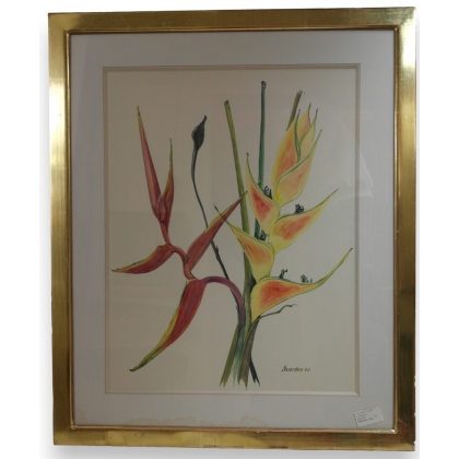 Aquarelle Fleurs "Heliconia" signée  sur Moinat SA  - Antiquités décoration -  Gouaches, Aquarelles, Pastels