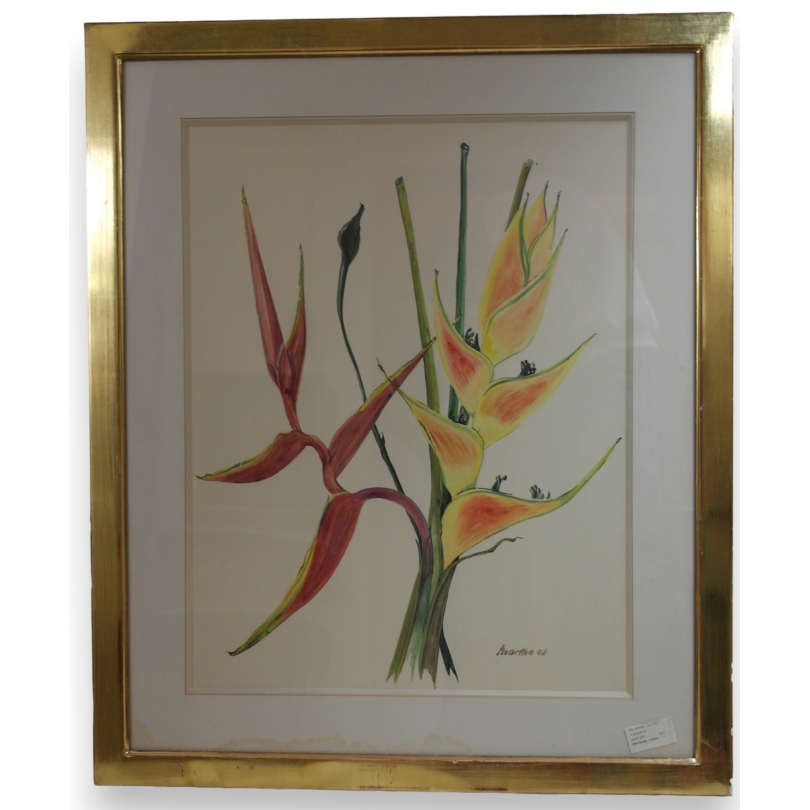 Aquarelle Fleurs "Heliconia" signée  sur Moinat SA  - Antiquités décoration -  Gouaches, Aquarelles, Pastels